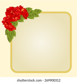 Golden  frame with red hibiscus greeting card festive background place for text vector illustration