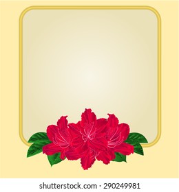 Golden frame with  red rhododendron greeting card festive background place for text vector illustration