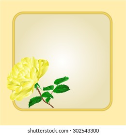 Golden frame with  yellow rose greeting card festive background place for text vector illustration