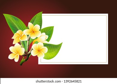 Golden frangipani or plumeria flowers with leaves. Save the date, sympathy, condolences or strict style postcard template. Vector Illustration Decorative burial funeral bouquet on dark Background