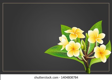 Golden frangipani or plumeria flowers with leaves. Save the date, sympathy, condolences or strict style postcard template. Vector Illustration Decorative burial funeral bouquet on dark Background