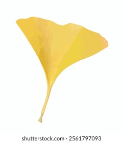 Golden Ginkgo biloba leaf isolated on white background. A ginkgo leaf in autumn. Golden and yellow leaves of the Ginkgo. Ginkgo biloba commonly known as gingko, maidenhair tree. Vector. For design.
