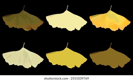 Folhas douradas Ginkgo biloba conjunto isolado no fundo preto. Duas folhas de ginkgo no outono. Folhas douradas e amarelas do Ginkgo. Ginkgo biloba comumente conhecido como gingko, árvore de cabelo de moça. Vetor.