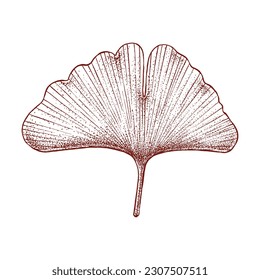 Golden Ginkgo Leaf Hand Drawn in Pointilism Technique.