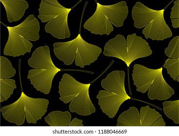 Golden Ginkgo leaves on Black Background