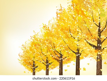 Golden ginkgo trees in late autumn.  File contains Clipping masks.