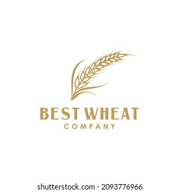Golden Grain Wheat or Rice Logo Design Vector