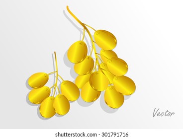 Golden grapes on white background.Vector illustration