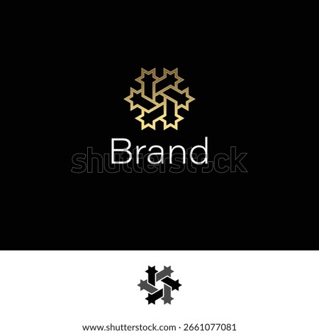 Golden Hexagonal David Star Spark Logo with Black and White Background.