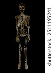 Golden human skeleton standing isolated over black background, front view. Hand drawn vector body system drawing. Gothic style illustration print design.
