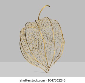 Golden husk of the flower of a Chinese lantern plant. Dried. Looks like filigree.