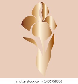 Golden iris flower. Vector illustration.