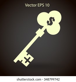 the golden key to the money vector illustration