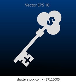 the golden key to the money vector illustration