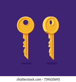 Golden key various angle vecot rillustration