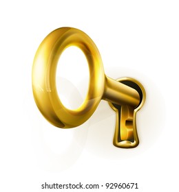 Golden Key, Vector