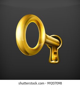 Golden key, vector