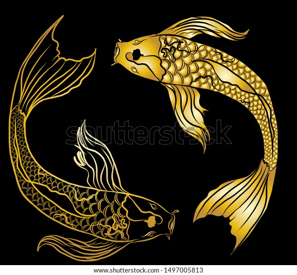 gold koi fish