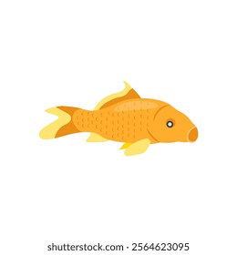 Golden Koi Seafood Vector Illustration, Isolated