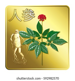 Golden label on a medicinal plant ginseng with Chinese characters