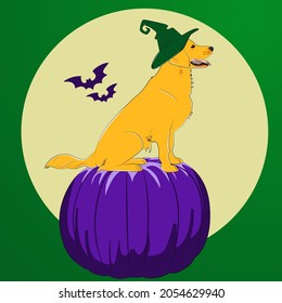 Golden labrador retriever dog sitting on the pumpkin wearing a witch hat under the moon halloween illustration