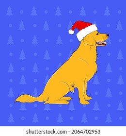 Golden labrador retriever dog wearing santa's hat isolated on the blue christmas background