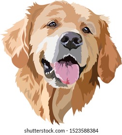 Golden Labrador Retriever Head Vector Illustration
