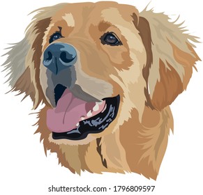 Ilustración del vector del recuperador del labrador dorado.Retrato del perro