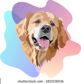 Golden Labrador Retriever Head Vektor Illustration. Trend