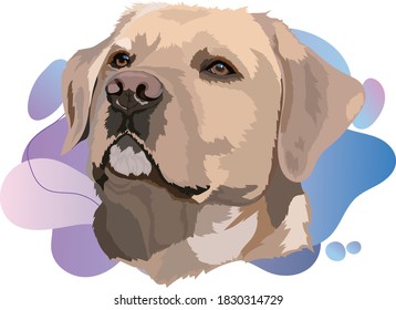 Golden Labrador Retriever Head Vector Illustration 1