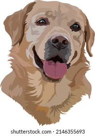 Golden Labrador Retriever Head Vector