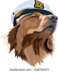 Golden Labrador Retriever in a marine cap vector illustration