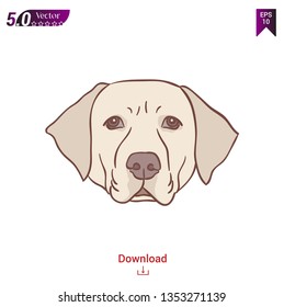Golden Labrador Retriever vector