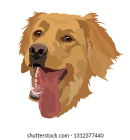 Golden Labrador Retriever vector illustration