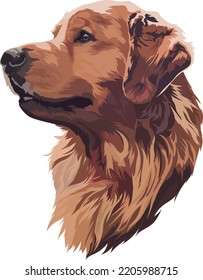 Golden Labrador Retriever. Vector illustration. Dog portrait