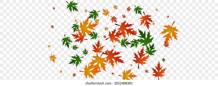 Vector transparente de fondo de hoja dorada. Tarjeta de diseño floral. Colección de oro. Abajo Ilustración. Logotipo del Foliage del Petróleo.