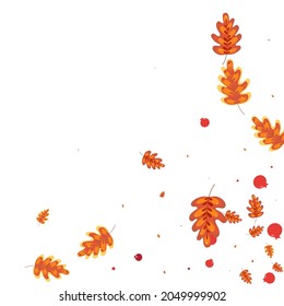 Golden Leaf Background White Vector. Oak Floral Frame. Red Acorn. Natural Design. Orange Plant Vibrant.