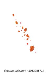 Golden Leaf Background White Vector. Acorn Isolated Frame. Yellow Oak. Seamless Set. Red Plant Woods.