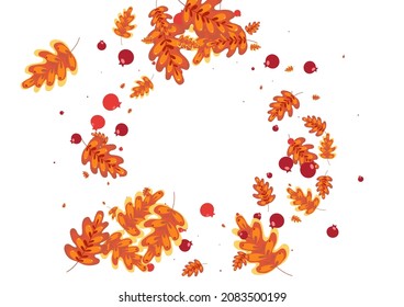 Golden Leaf Background White Vector. Acorn Border Set. Gold Leaves. Collection Frame. Yellow Oak Silhouette.