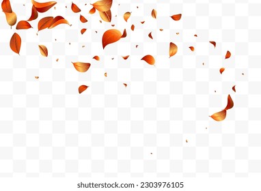 Golden Leaf Blur Vector White Transparent Background Plant. Nature Solar Concept. Red Leaves Motion Illustration. Foliage Forest Branch.