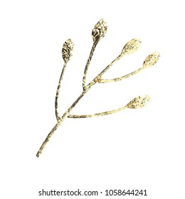 Golden leaf design elements. Decoration elements for invitation, wedding cards, valentines day, greeting cards. Isolated on white background. Vintage Floral Vector background.