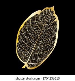 Golden Leaf isolated. Vector illustration. EPS 10
