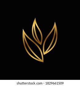 A golden leaf logo design