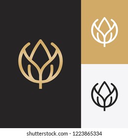 Golden leaf and monochromatic one. Abstract emblem, Geometrical line of leaf logo vector, Leaf logotype element vector