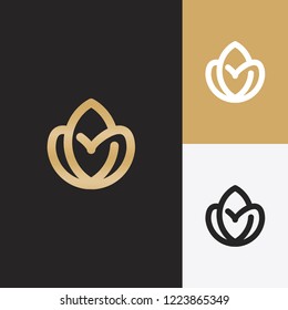 Golden leaf and monochromatic one. Abstract emblem, Geometrical line of leaf logo vector, Leaf logotype element vector, beauty logo template