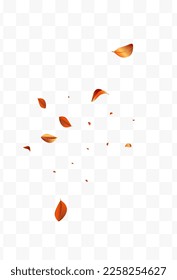 Goldenes Leaf Organische Vektorgrafik, weißer, transparenter Hintergrund. Broschüre über realistische Blätter. rotes Solarschwenken-Muster. Vorlage für Blattökologie.