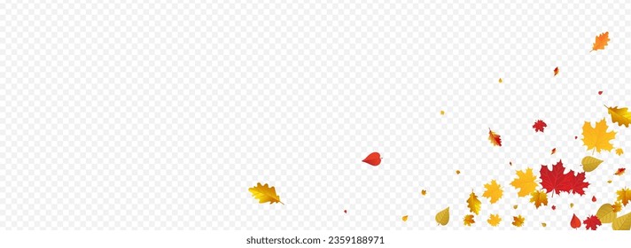 Golden Leaf Vector Panoramic Transparent Background. Beautiful Foliage Frame. Yellow October Plant Illustration. Decor Design.