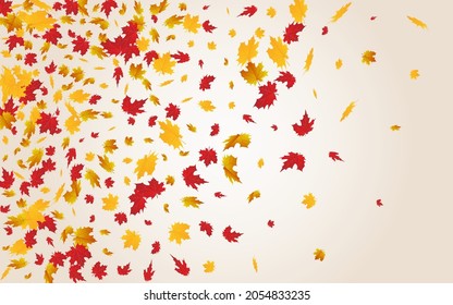 Golden Leaf Vector Transparent Background. Pattern Foliage Texture. Orange September Floral Frame. Tree Design.
