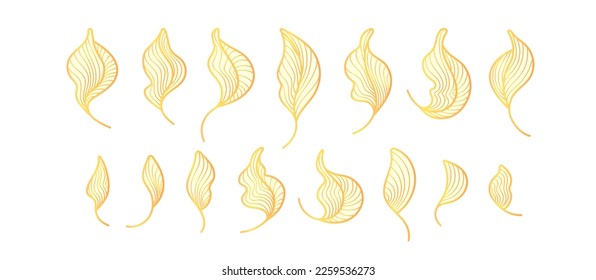 Golden leaves, art deco line set. Graphic plant, foliage isolated on white background. Tea food collection