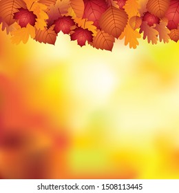 Golden leaves. Autumn colorful background.